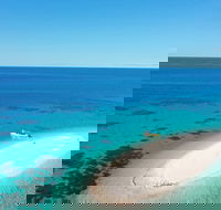 Ocean Safari Great Barrier Reef Experience in Cape Tribulation - Palm Beach Accommodation