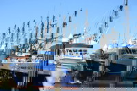 Book Viator Accommodation Vacations Palm Beach Accommodation Palm Beach Accommodation