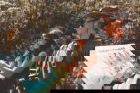 Springbrook andTamborine Rainforest Tour Incl Natural Bridge and Glow Worm Cave, Brisbane