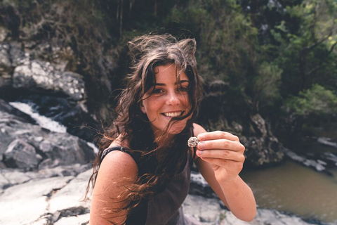 Springbrook AndTamborine Rainforest Tour Incl Natural Bridge And Glow Worm Cave - Palm Beach Accommodation 1