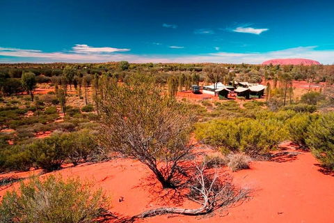 Overnight Uluru (Ayers Rock) Small-Group Camping Tour - Palm Beach Accommodation 2