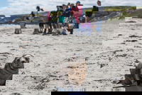 Book Viator Accommodation Vacations Palm Beach Accommodation Palm Beach Accommodation