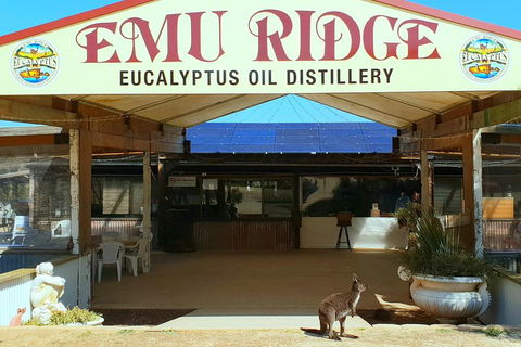 2 Day Ultimate Kangaroo Island With Return Ferry - Palm Beach Accommodation 3