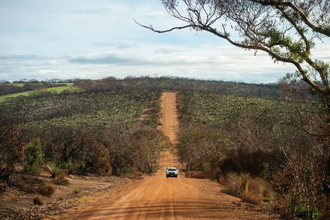 NEW TOUR - Kangaroo Island Road To Recovery Tour (1 Day/1 Night) - Palm Beach Accommodation 2