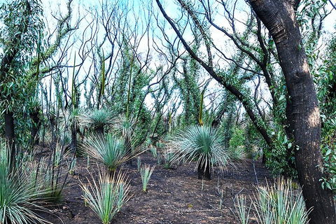 NEW TOUR - Kangaroo Island Road To Recovery Tour (1 Day/1 Night) - Palm Beach Accommodation 3