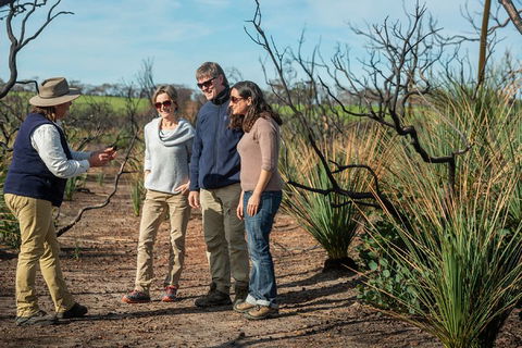 NEW TOUR - Kangaroo Island Road To Recovery Tour (1 Day/1 Night) - Palm Beach Accommodation 4