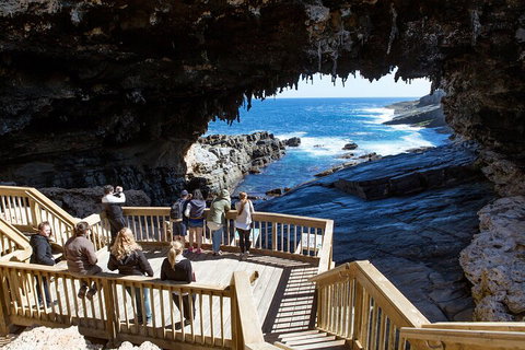 Full Day Flinders Chase Tour From Kangaroo Island - Palm Beach Accommodation 1