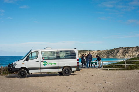 Full Day Flinders Chase Tour From Kangaroo Island - Palm Beach Accommodation 3