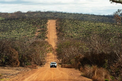 Full Day Flinders Chase Tour From Kangaroo Island - Palm Beach Accommodation 4