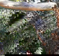 Small-Group Great Ocean Road Day Trip from Melbourne - Palm Beach Accommodation