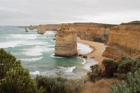 Private Tour: Great Ocean Road From Melbourne - Palm Beach Accommodation 2