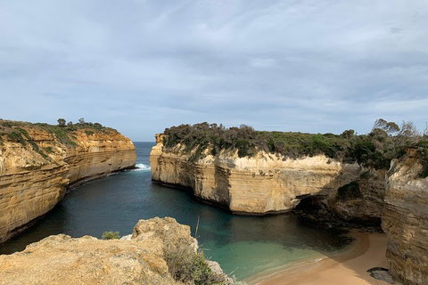 Private Tour: Great Ocean Road From Melbourne - Palm Beach Accommodation 3