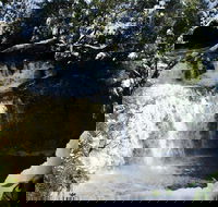 Cradle Mountain Day Tour from Launceston Including Lunch - Palm Beach Accommodation