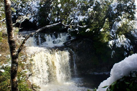 Cradle Mountain Park Explorer Guided Tour - Palm Beach Accommodation 4