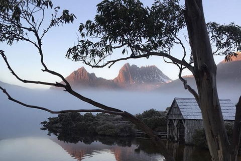 Cradle Mountain Park Explorer Guided Tour - Palm Beach Accommodation 5