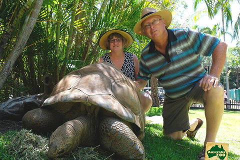 Small-Group Australia Zoo Day Trip From Brisbane - Palm Beach Accommodation 1