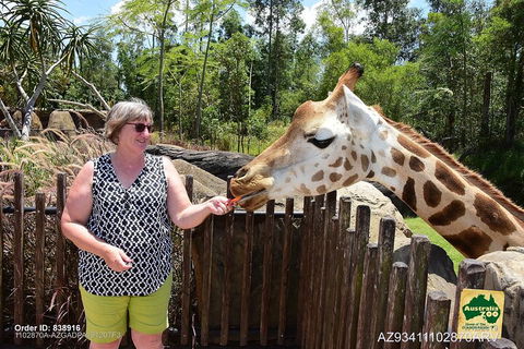 Small-Group Australia Zoo Day Trip From Brisbane - Palm Beach Accommodation 2