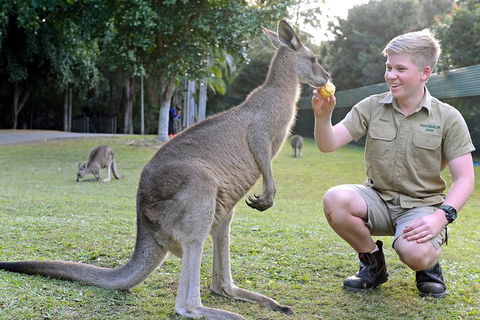 Small-Group Australia Zoo Day Trip From Brisbane - Palm Beach Accommodation 4
