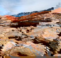 Broome City Sightseeing Tour with Optional Camel Ride - Palm Beach Accommodation