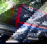 Blue Mountains Hop-on Hop-off Tour with Optional Scenic World Rides - Palm Beach Accommodation