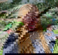 Great Ocean Road Reverse Itinerary with 12 Apostles from Melbourne - Palm Beach Accommodation