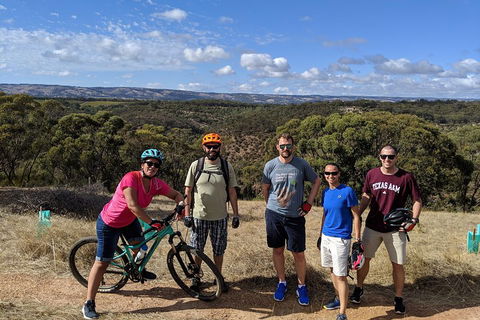 McLaren Vale Wine Tour By Bike - Palm Beach Accommodation 0