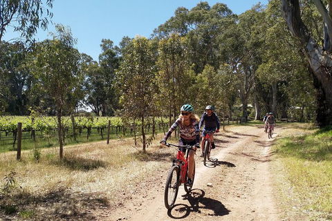 McLaren Vale Wine Tour By Bike - Palm Beach Accommodation 1