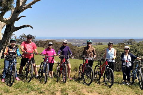 McLaren Vale Wine Tour By Bike - Palm Beach Accommodation 2