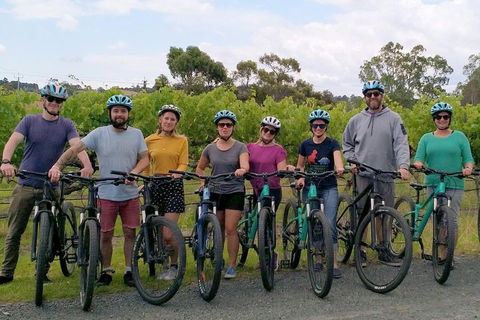 McLaren Vale Wine Tour By Bike - Palm Beach Accommodation 4