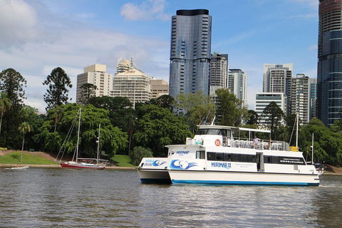 Lone Pine Koala Sanctuary Admission With Brisbane River Cruise - Palm Beach Accommodation 2