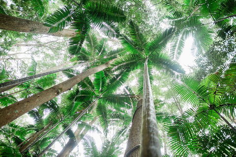 Fraser Explorer K'gari 2-Day Tour - Palm Beach Accommodation 2