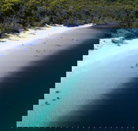 All-Inclusive Fraser Island Day Tour - Palm Beach Accommodation