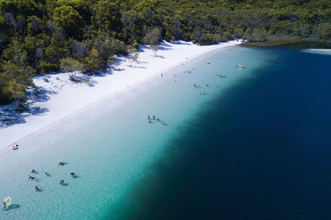 All-Inclusive Fraser Island Day Tour - Palm Beach Accommodation 0