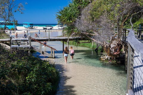All-Inclusive Fraser Island Day Tour - Palm Beach Accommodation 4