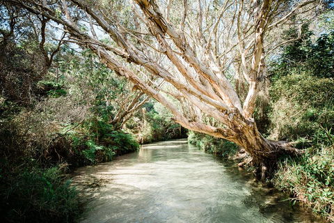 3-Day Fraser Island Resort Package - Palm Beach Accommodation 5