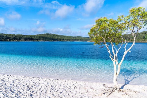 Lake McKenzie Full-Day Tour With Lunch From Hervey Bay - Palm Beach Accommodation 1