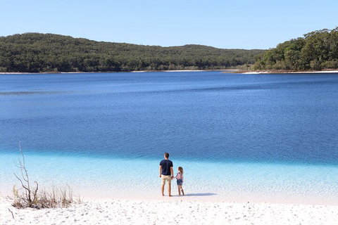 Lake McKenzie Full-Day Tour With Lunch From Hervey Bay - Palm Beach Accommodation 2