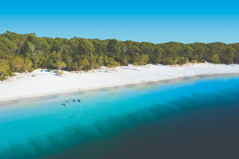 Lake McKenzie Full-Day Tour With Lunch From Hervey Bay - Palm Beach Accommodation 4