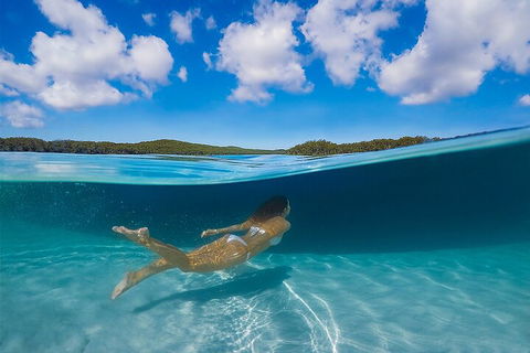 Lake McKenzie Full-Day Tour With Lunch From Hervey Bay - Palm Beach Accommodation 5