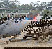 Off-Road Safari at Werribee Open Range Zoo - Palm Beach Accommodation