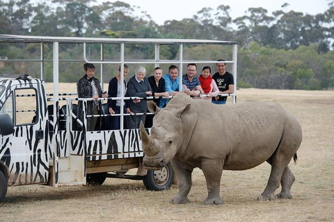 Off-Road Safari At Werribee Open Range Zoo - Palm Beach Accommodation 0