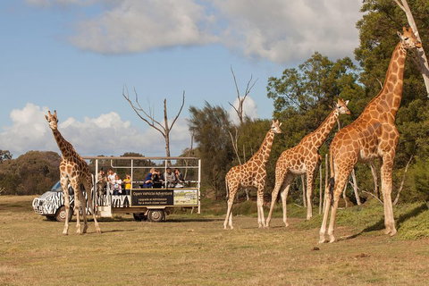 Off-Road Safari At Werribee Open Range Zoo - Palm Beach Accommodation 3