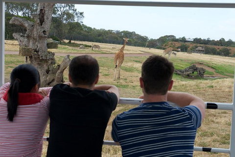 Off-Road Safari At Werribee Open Range Zoo - Palm Beach Accommodation 4