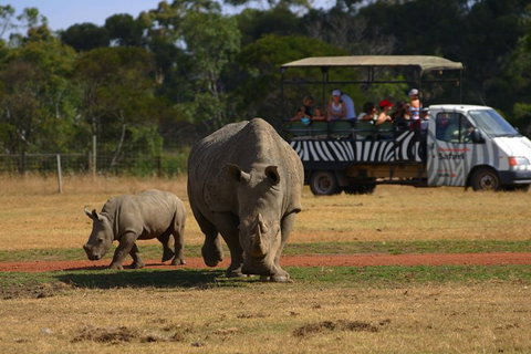 Off-Road Safari At Werribee Open Range Zoo - Palm Beach Accommodation 5