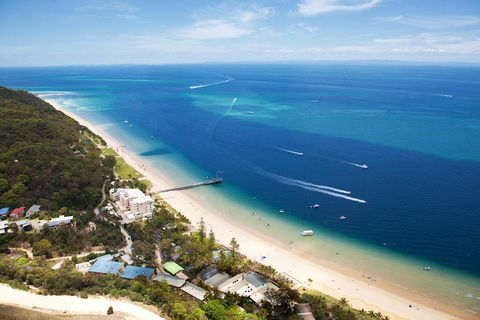 Tangalooma Island Resort Whale Watching Day Cruise With Dolphin Feeding - Palm Beach Accommodation 2