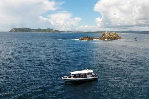 Julian Rocks Byron Bay Cruise - Palm Beach Accommodation 5