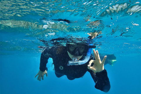 3 Day Whitsundays Sailing And Diving Adventure: Kiana - Palm Beach Accommodation 0