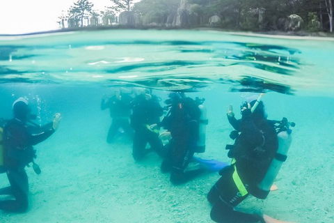 3 Day Whitsundays Sailing And Diving Adventure: Kiana - Palm Beach Accommodation 4