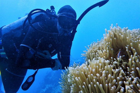 3 Day Whitsundays Sailing And Diving Adventure: Kiana - Palm Beach Accommodation 5