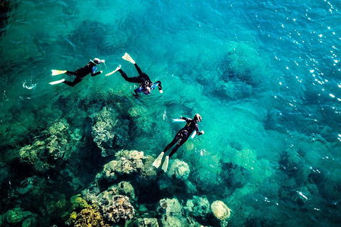 2-Night Whitsundays Sailing Adventure: Whitsunday Getaway - Palm Beach Accommodation 5